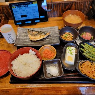 サバ文化干し定食＋ネギトロ＋インゲン胡麻和え＋大根キンピラ＋冷奴＋納豆
