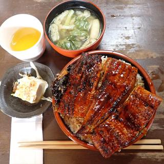 うな丼 1.5人前