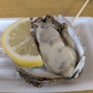 生ガキ（新潟産）