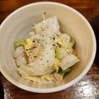ツナ白菜