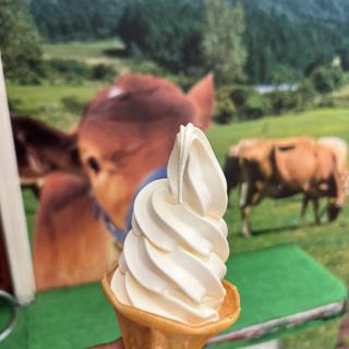 ジャージ牛乳ソフトクリーム