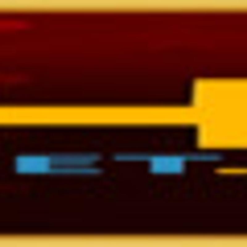 (中華料理・中国料理 chinois大久保（シノワ 大久保）)