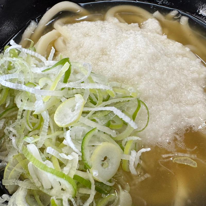 とろろうどん(きっちょううどん 都城吉尾店 )