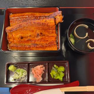 松うなぎ上(鰻の成瀬 都城谷頭店)