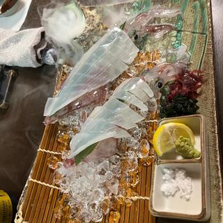 イカ刺し