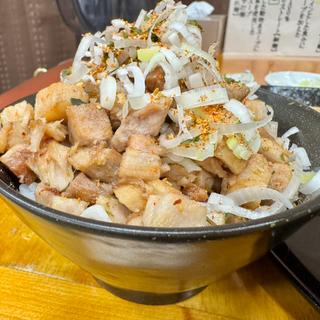 半ライス＋サービスネギ