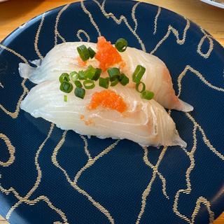 ヒラメ