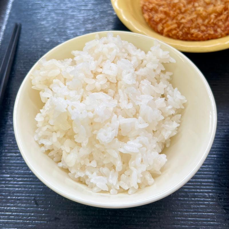 めし（ミニ）(大衆食堂 半田屋 西線南七条店)