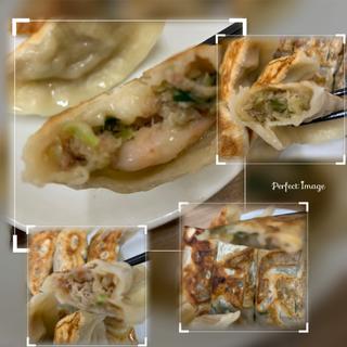 焼き餃子全品盛り合わせ(14個)