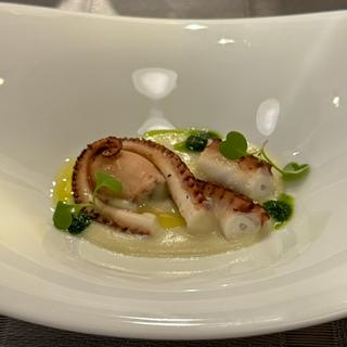 〜旬のひとさら〜 柔らかく煮た三河の飯蛸とマッコディファーベ(プロスペロ)