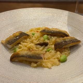 〜パスタ1〜 白川 天然鮎と枝豆 エミリア・ロマーニャ州のパスタ「ラサ」