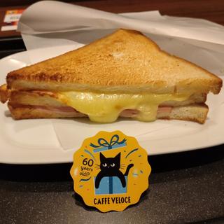 モーニングC
トーストサンド　とろ～りチーズ＆ハム　～モッツァレラチーズ～(カフェ・ベローチェ 柏駅東口店)