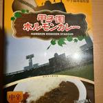 甲子園ホルモンカレー　レトルト