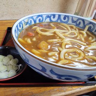 カレーうどん