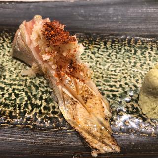 縞鯵