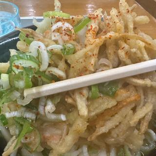 ごぼううどん