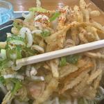 ごぼううどん(和うどん )