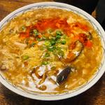 酸味と辛味のスープ麺（刀削麺・ごはん付き）