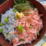 生シラスと桜海老丼