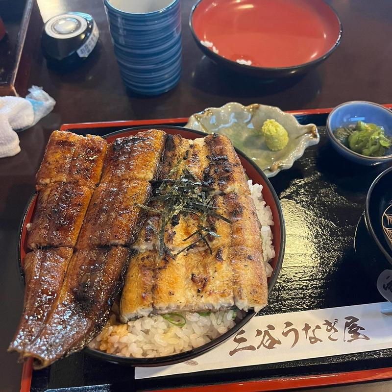 二色丼(三谷うなぎ屋 高茶屋店)