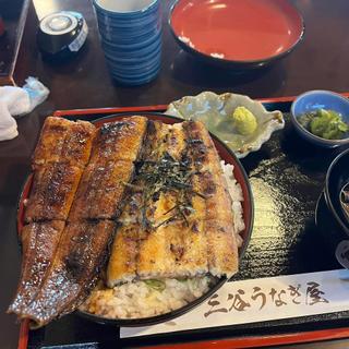 二色丼