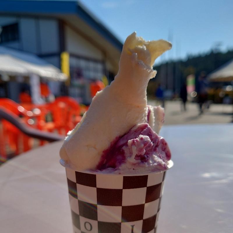 ジェラートダブル(フレッチャーレ)