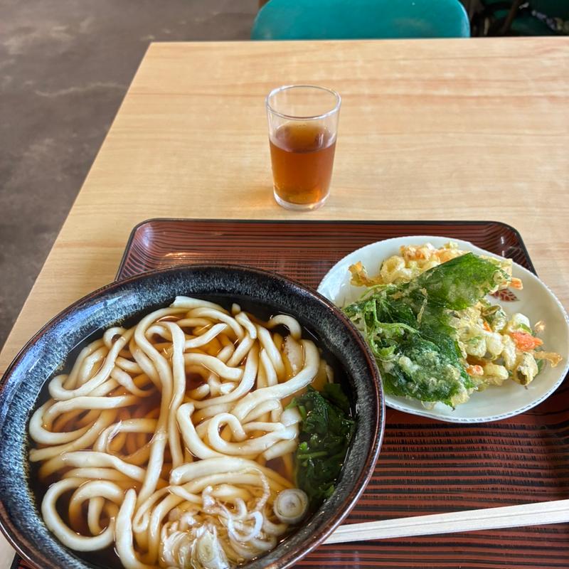 かき揚げうどん(一本松食堂 )