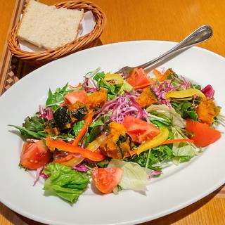 サラダランチ