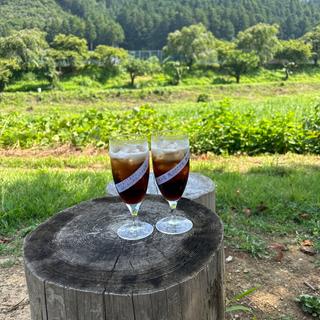水出し珈琲