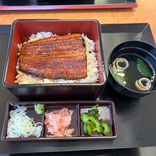 並うな重