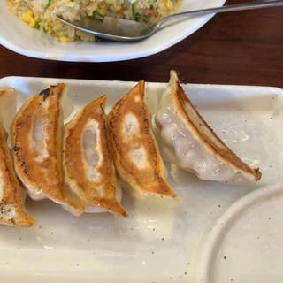 半額餃子