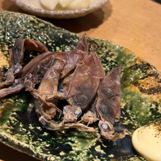 ホタルイカの丸干し