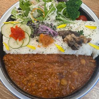 ビーンズトマトカレー