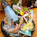 磯盛り 白いか姿造り