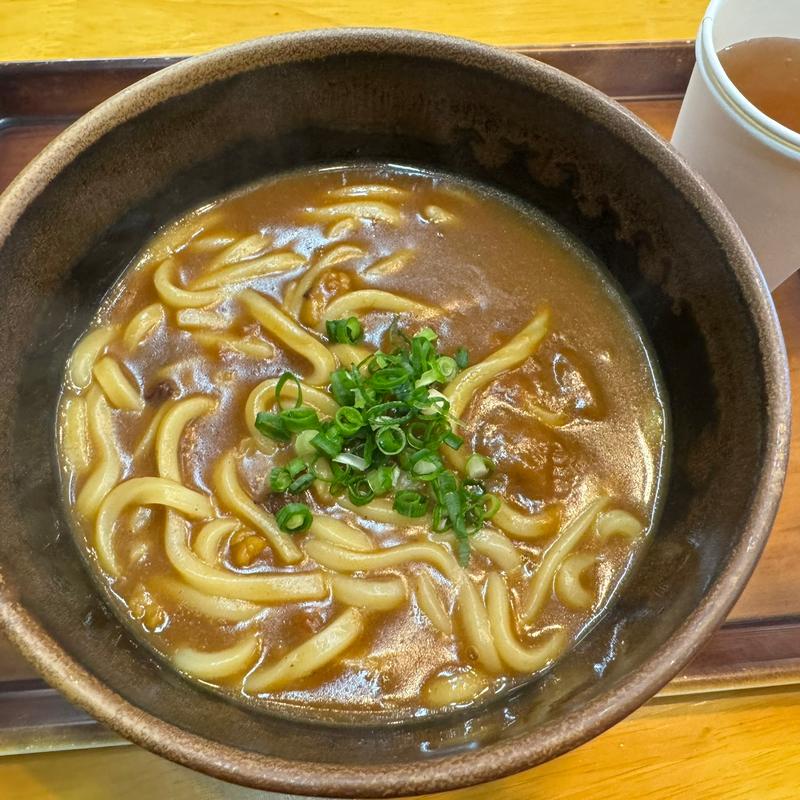 カレーうどん(道の駅日向 )