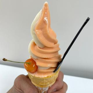 さくらんぼソフト