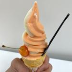 さくらんぼソフト