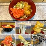 冷やしうどんにちくわ天、塩とり天、紅生姜天