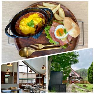 グラタンランチプレート（ボロネーゼグラタン＆グリーンカレーマヨソース BLT＆エッグ）