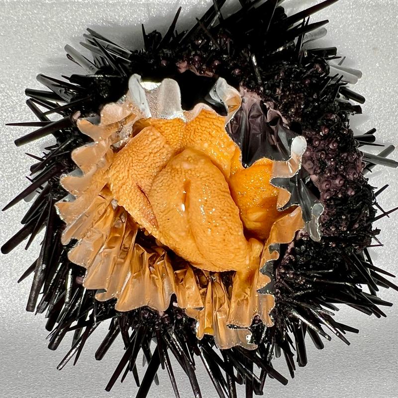 うに(忠村水産)