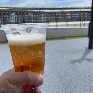ピルスナーウルケル 生ビール
