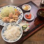 国産鶏 手羽とろ唐揚げ