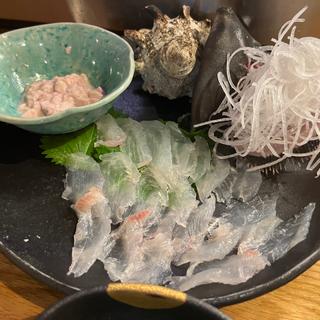 カワハギ