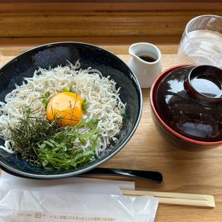 日向灘しらす丼
