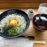 日向灘しらす丼