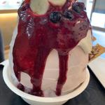 ACAI BOWL MELT BOWL