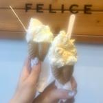 (Gelateria FELICE （ジェラテリア フェリーチェ）戸越)