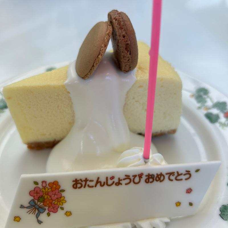 プレミアムチーズケーキ(六花亭 森林公園店)