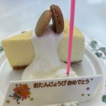 プレミアムチーズケーキ