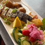 Salmon Plate